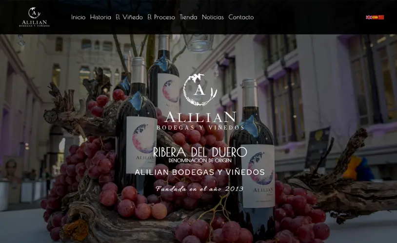 Diseño web de Bodegas Alilian