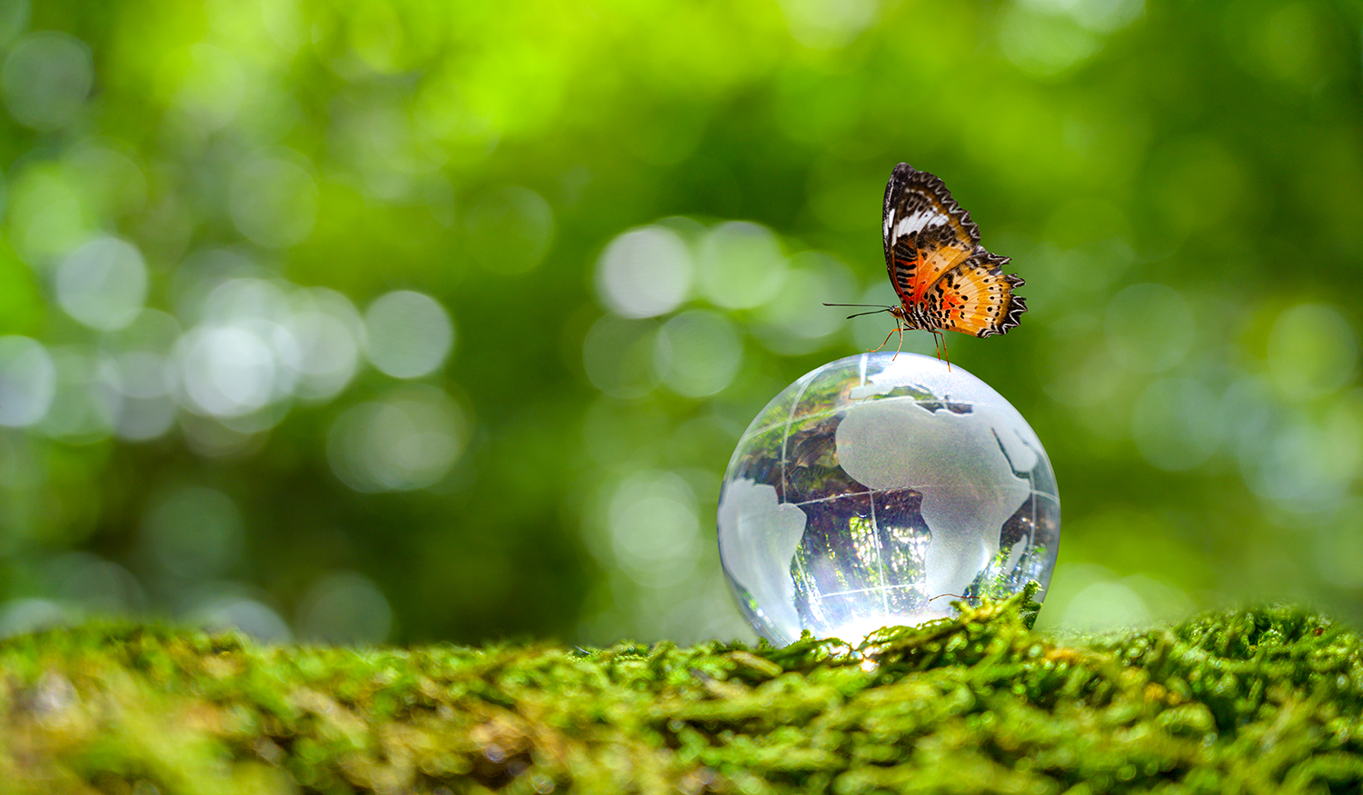eco