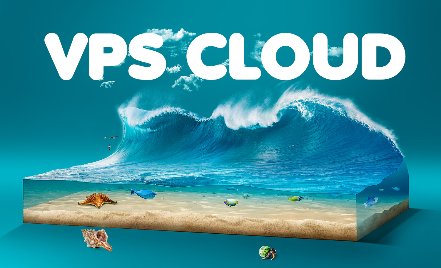 vps cloud tsunami